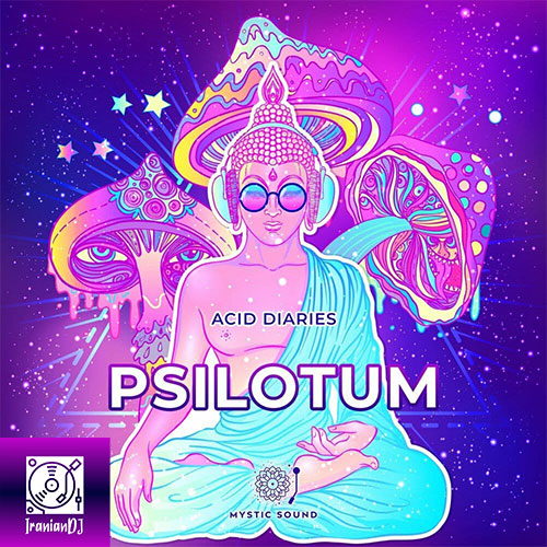 Psilotum – Acid Diaries