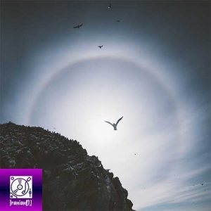 Logic Moon – Terraforming