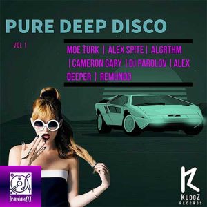VA - Pure Deep Disco