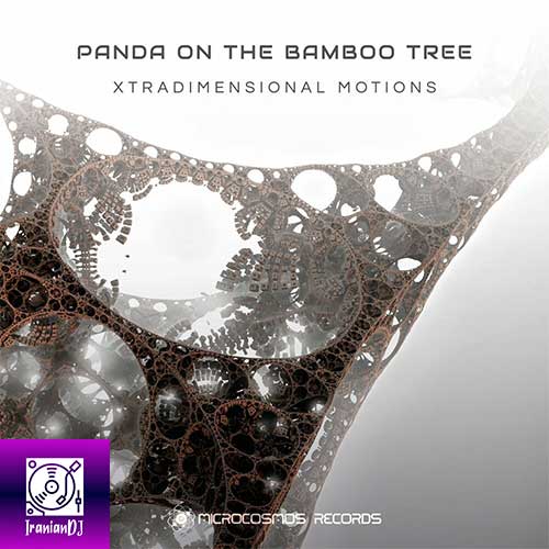 Panda On The Bamboo Tree – Xtradimensional Motions