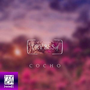 Cocho – D.A.N