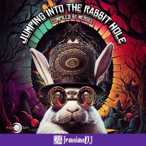 VA - Jumping into the Rabbit Hole