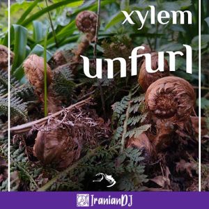 Xylem - Unfurl