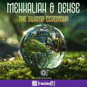 Menkalian & Dense – The Swamp Ceremony