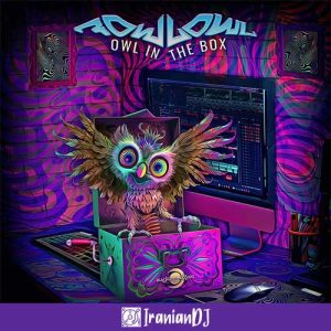 FowlOwl – Owl in the Box