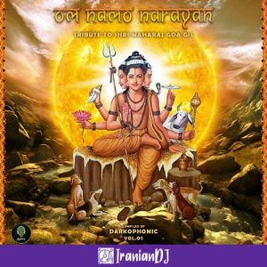 VA - Om Namo Narayan