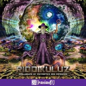 VA - Riddikuluz