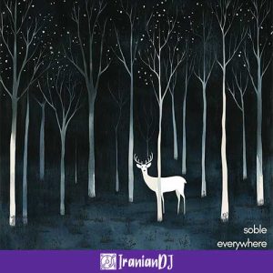Soble – Everywhere
