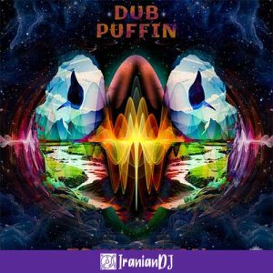 Dub Puffin – Transition
